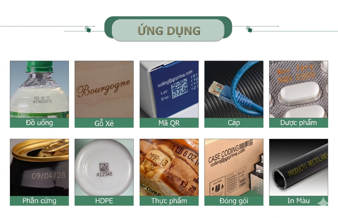 tanminhgroup